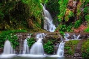 Gold Coast Hinterland